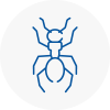 Ant Removals In Clevedon
