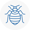 Bed Bug Extermination In Clevedon
