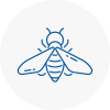 Bee Nest Removal Clevedon