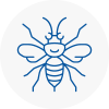 Clevedon Hornet Nest Removals