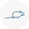 Mice Exterminators In Clevedon