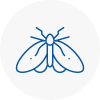 Moth Control Specialists In Clevedon