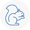 Clevedon Rodent Removals