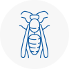 Clevedon Wasp Nest Removal